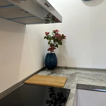Modern Flat In Paolo Sarpi